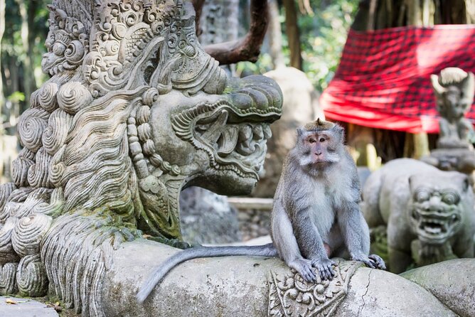 1-Day Ubud Tours All-Inclusive - Tirta Empul Temple and Bali’s living customs