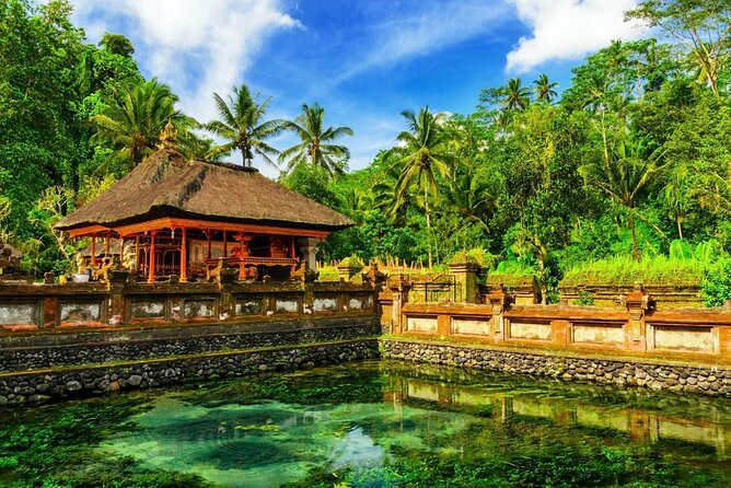 1-Day Ubud Tours All-Inclusive - What the guide adds to the day
