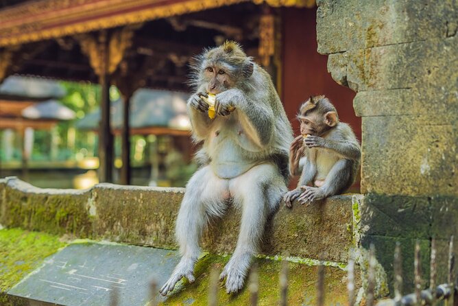 1-Day Ubud Tours All-Inclusive - Is $39.77 good value for a private 10-hour tour?