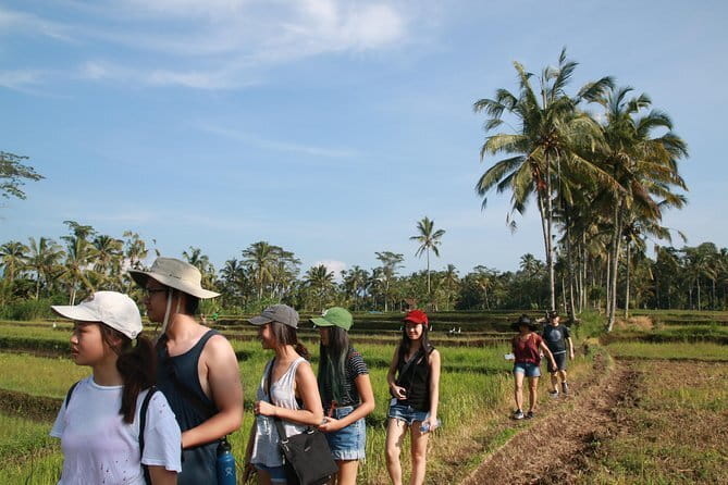3-Day Private Sightseeing Tour of Bali with Hotel Pickup - Who should book this experience?