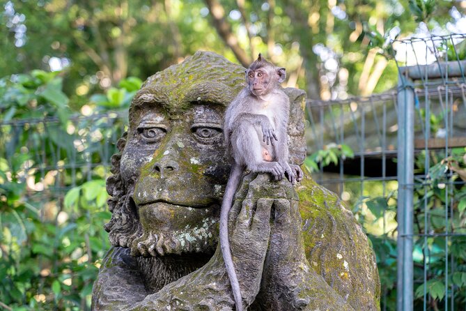 3 Days for the best of Ubud Private Tour - Day two: waterfalls and Penglipuran Village