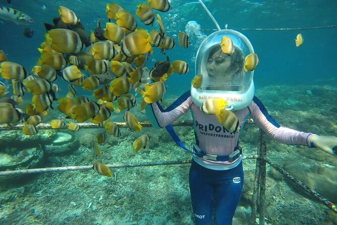30 Minutes Ocean Walking in Nusa Dua, Bali - Walking under the waves at Tanjung Benoa