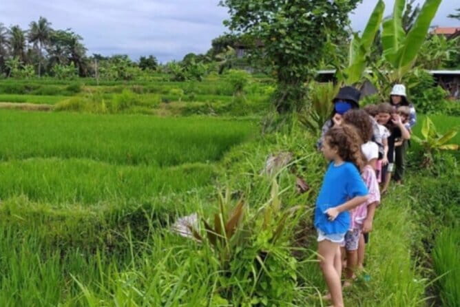 30 Minutes Ocean Walking in Nusa Dua, Bali - Timing matters more than it first appears