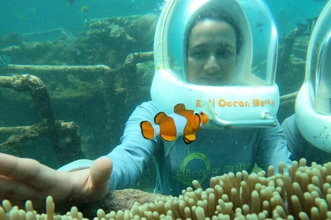 30 Minutes Ocean Walking in Nusa Dua, Bali - Coral, small fish, and a managed underwater view