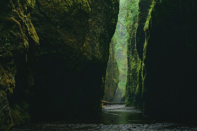 3Hrs Intermediate Canyoning in North Bali (Pickup, Lunch & GoPro) - Who should book Yeh Muncat?