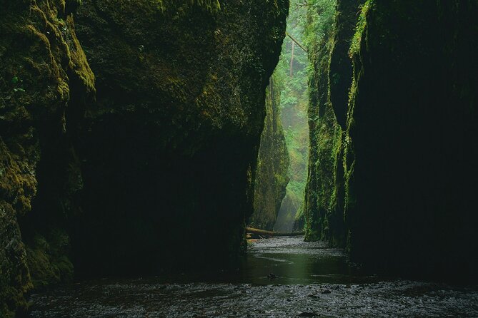 5Hrs Advanced Canyoning (50m) 12 Rappels (Pickup, Lunch & GoPro) - Is $199 good value for this Bali adventure?