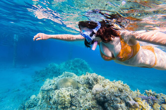 All Inclusive Bali Blue Lagoon and Tanjung Jepun Snorkeling - The Ubud to Padang Bai ride