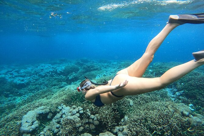 All Inclusive Bali Blue Lagoon and Tanjung Jepun Snorkeling - Blue Lagoon for the second hour
