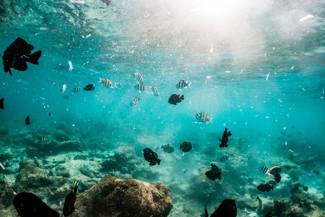 All Inclusive Bali Blue Lagoon and Tanjung Jepun Snorkeling - Lunch, showers, and the practical finish
