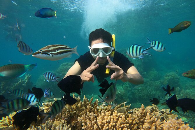 All Inclusive Bali Blue Lagoon and Tanjung Jepun Snorkeling - Who will enjoy this snorkeling day
