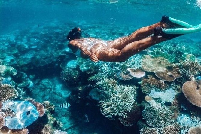 All Inclusive : Bali Blue Lagoon Snorkeling, Lunch, and Transport - The trip from Ubud is part of the calculation