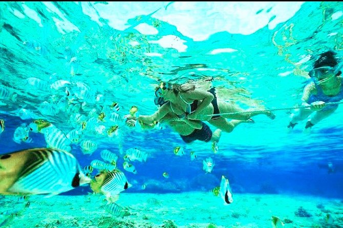 All Inclusive : Bali Blue Lagoon Snorkeling, Lunch, and Transport - How the $44 price stacks up