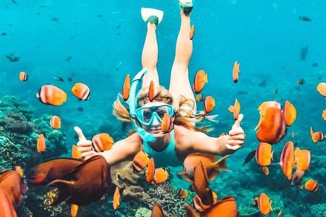 All Inclusive : Bali Blue Lagoon Snorkeling, Lunch, and Transport - Blue Lagoon and Tanjung Jepun offer different water time