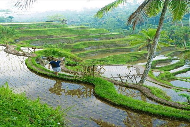 ALL INCLUSIVE - Bali Gate Of Heaven Tour - Traditional coffee making as the final stop