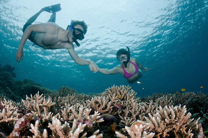 All Inclusive Bali Scuba Diving at Tulamben with Lunch -Transport - From Ubud to Bali’s East Coast