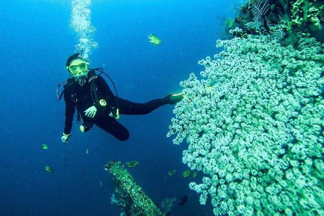 All Inclusive Bali Scuba Diving at Tulamben with Lunch -Transport - Is $150 a Fair Price?