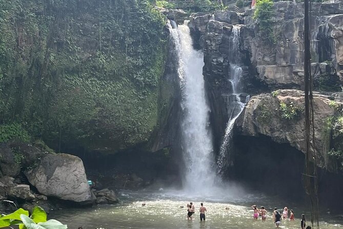 All Inclusive: Monkey Forest, Rice terrace, Holly Spring Temple - Tegenungan Waterfall: a quick tropical pause