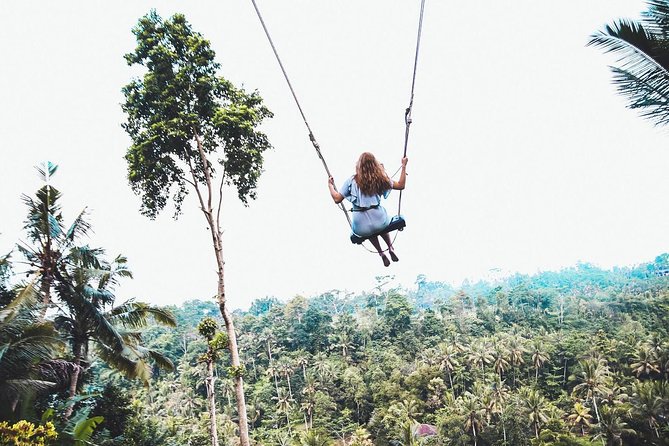 All Inclusive: Monkey Forest, Rice terrace, Holly Spring Temple - Tirta Empul: a working holy-spring temple