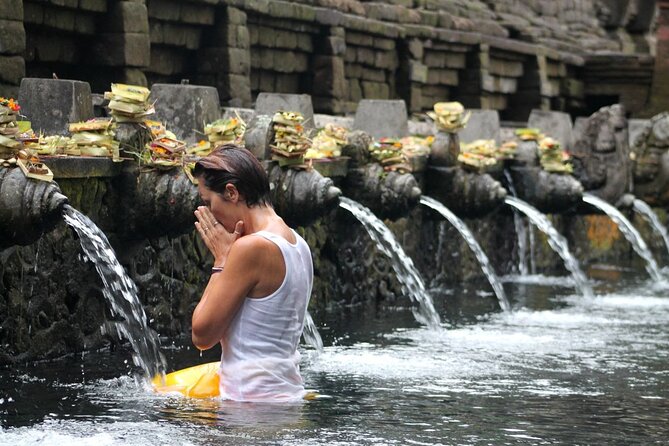 All Inclusive: Monkey Forest, Rice terrace, Holly Spring Temple - Should you book this Ubud day?