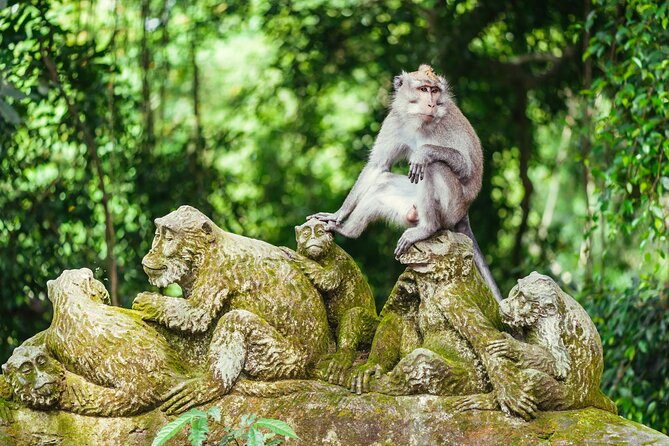 All Inclusive: Monkey Forest, Rice terrace, Holly Spring Temple - Tegalalang Rice Terrace: Bali’s famous green steps
