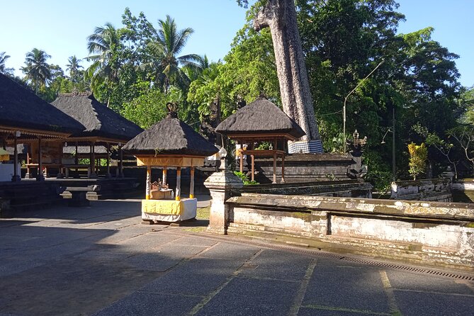 [All Inclusive] The Soul of Bali: Temples, Art & Traditions Tour - Is $50 a fair price?