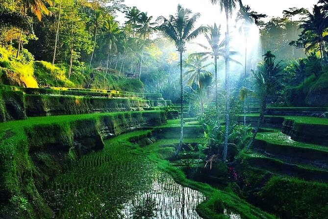 [All Inclusive] The Soul of Bali: Temples, Art & Traditions Tour - Booking details worth knowing