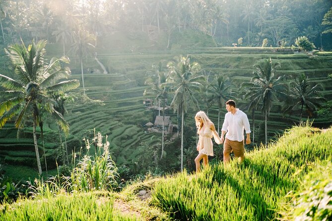 All Inclusive Ubud Private Day Tour - Monkey Forest: Ubud’s lively first look