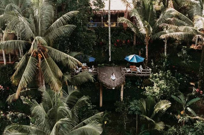 All-Inclusive Ubud Private Tour - Tirta Empul and the holy spring ritual