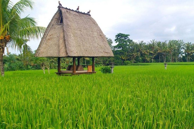 All-Inclusive Ubud Private Tour - What the private guide adds