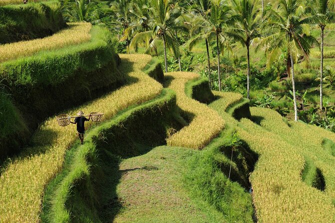 All-Inclusive Ubud's Wonder Day Tour - Kanto Lampo is the most photogenic stop