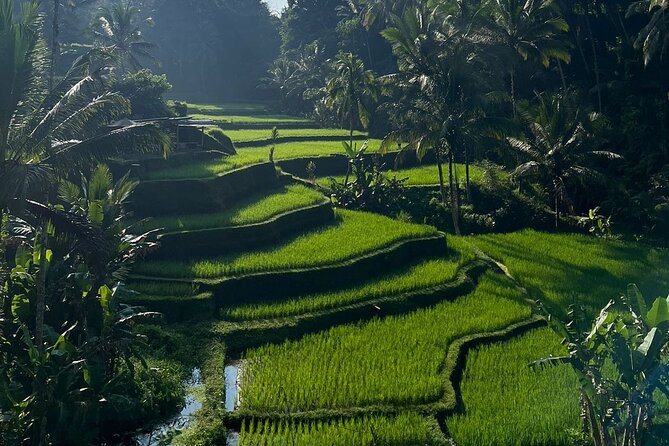 All Inclusive Ubud Tour - Five Ubud highlights in one busy day