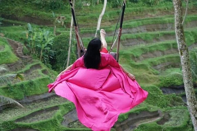 All Inclusive Ubud Tour - Tegalalang’s layered rice terraces