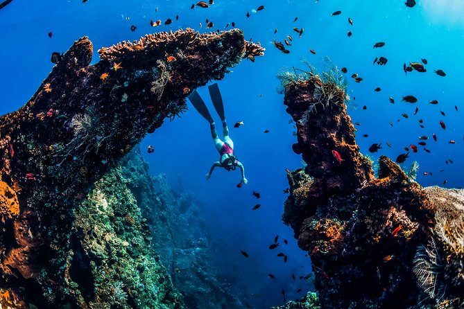 Amed Bali Snorkelling: Japanese Shipwreck & Vienna Beach Tour - Amed Beach and Lipah Bay: more than one reef view