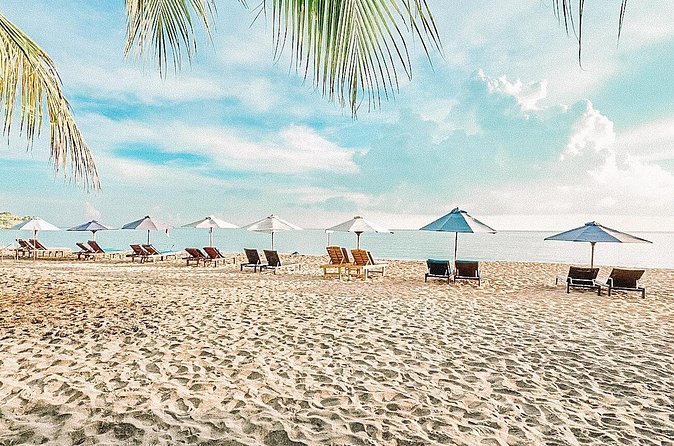 Amed Bali Snorkelling: Japanese Shipwreck & Vienna Beach Tour - What the guide adds to a small group
