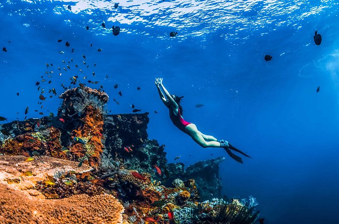 Amed Bali Snorkelling: Japanese Shipwreck & Vienna Beach Tour - Who should book this Amed snorkelling trip?