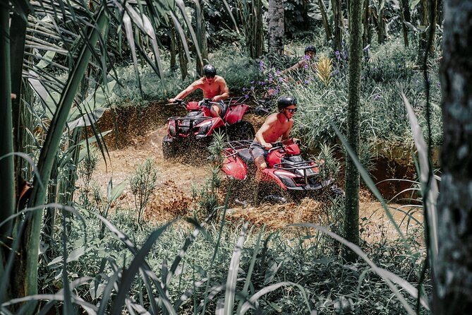 ATV Quad Bike Bali with Waterfall Gorilla Cave and Lunch - Single ATV or tandem ride?