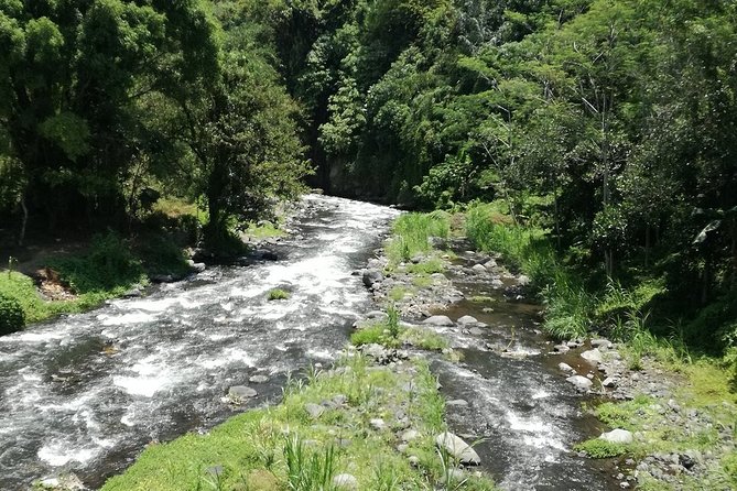 Ayung Rafting Ubud (Include Lunch & Return Transportation) - What the $75 price really covers