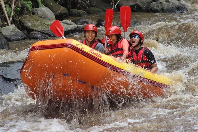 Ayung River Half-Day White Water Rafting Bali in Ubud - Registration, gear, and the shared boat setup
