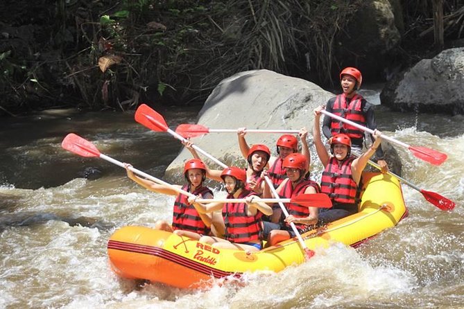 Ayung River Half-Day White Water Rafting Bali in Ubud - On the Ayung River for 90 minutes to two hours