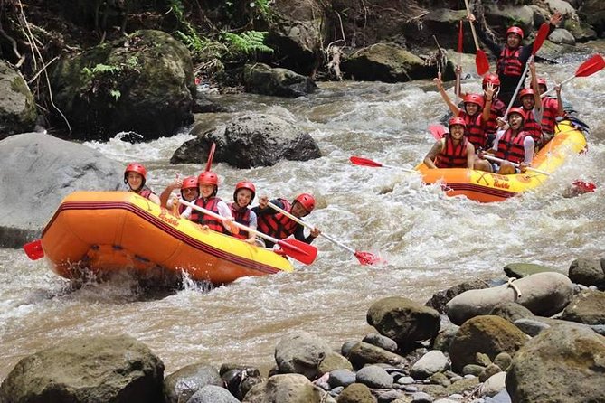 Ayung River Half-Day White Water Rafting Bali in Ubud - Returning to your hotel in the early afternoon