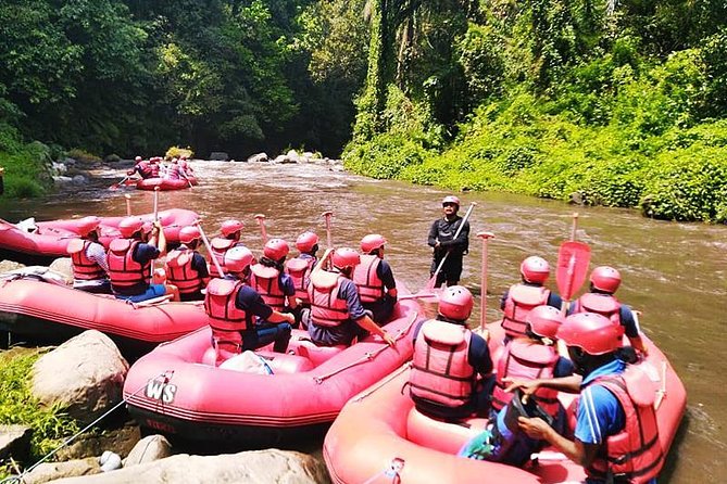 Ayung River Half-Day White Water Rafting Bali in Ubud - Who should choose this Ayung River experience?