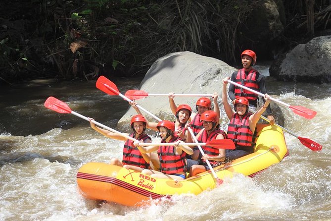 Ayung River - White Water Rafting Bali - Key points to know before you book