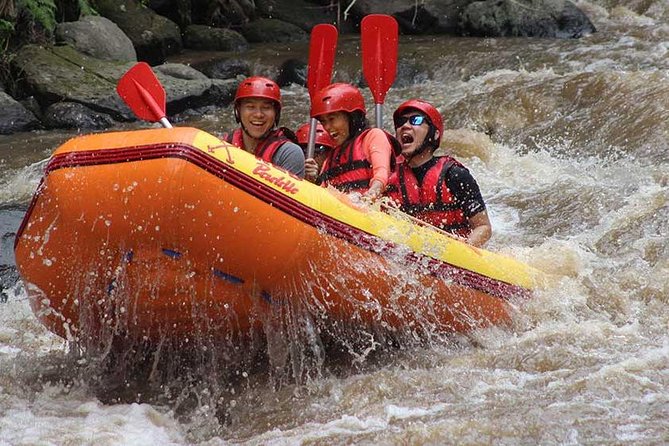 Ayung River - White Water Rafting Bali - The pickup from Ubud and south Bali