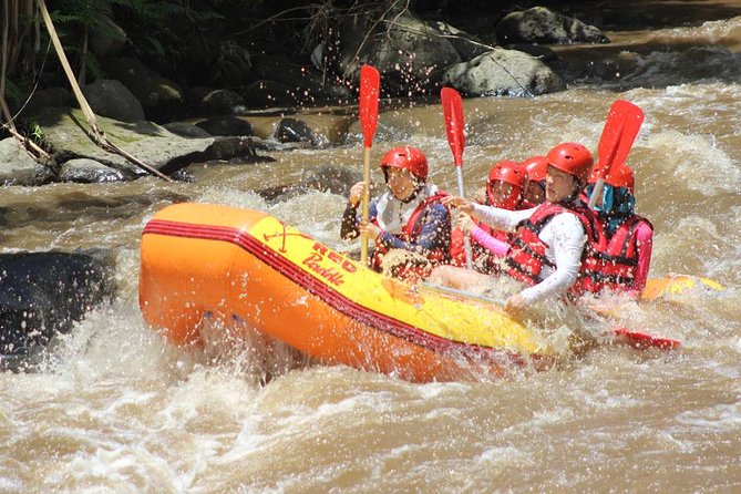 Ayung River - White Water Rafting Bali - Is $30 a good value?