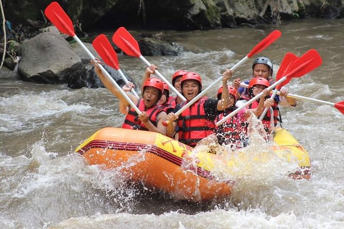 Ayung River - White Water Rafting Bali - The main drawback: access and physical effort