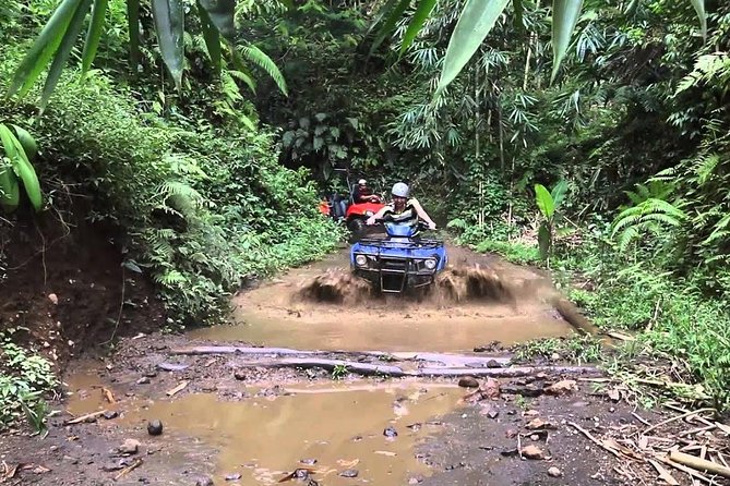 Balaji Adventure Bali Quad Bike - Single Bike 250cc - Riding a 250cc quad near Ubud