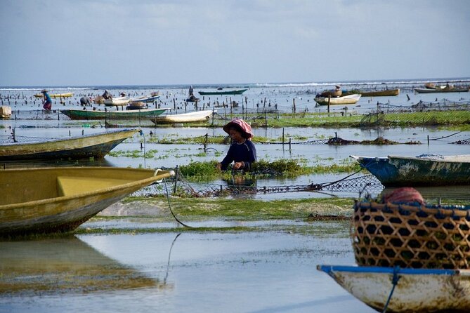 Bali 2 Days and 1 Nights of Nusa Penida and Lembongan Tour - Day two: Nusa Penida to Nusa Lembongan