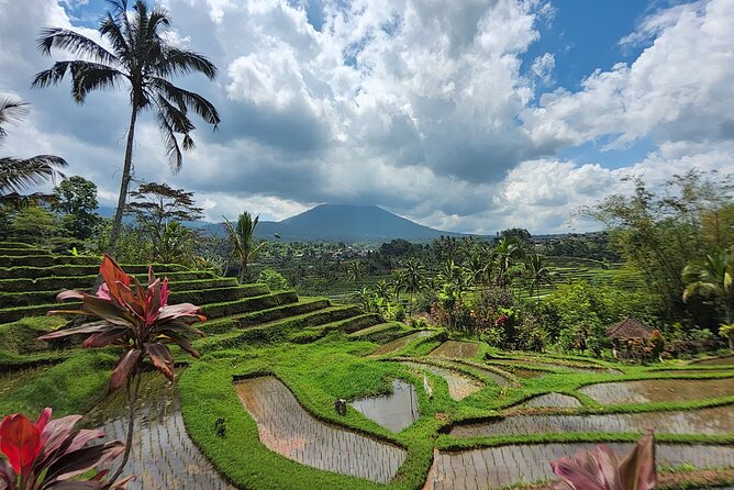 Bali 4WD Adventure WakaLand UNESCO Jatiluwih Trip in Bali Outback - Why this 4WD day feels different from ordinary Bali sightseeing
