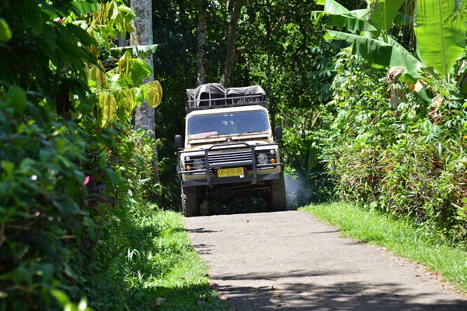 Bali 4WD Adventure WakaLand UNESCO Jatiluwih Trip in Bali Outback - The ride itself: fun, rough, and not always predictable