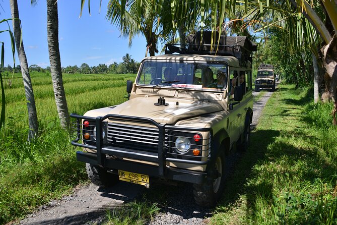 Bali 4WD Adventure WakaLand UNESCO Jatiluwih Trip in Bali Outback - Who will enjoy this day most